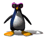 [Penguine found on Timpanogas site]