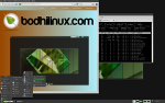 [Bodhi Linux]