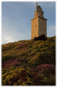 [Tower of Hercules]