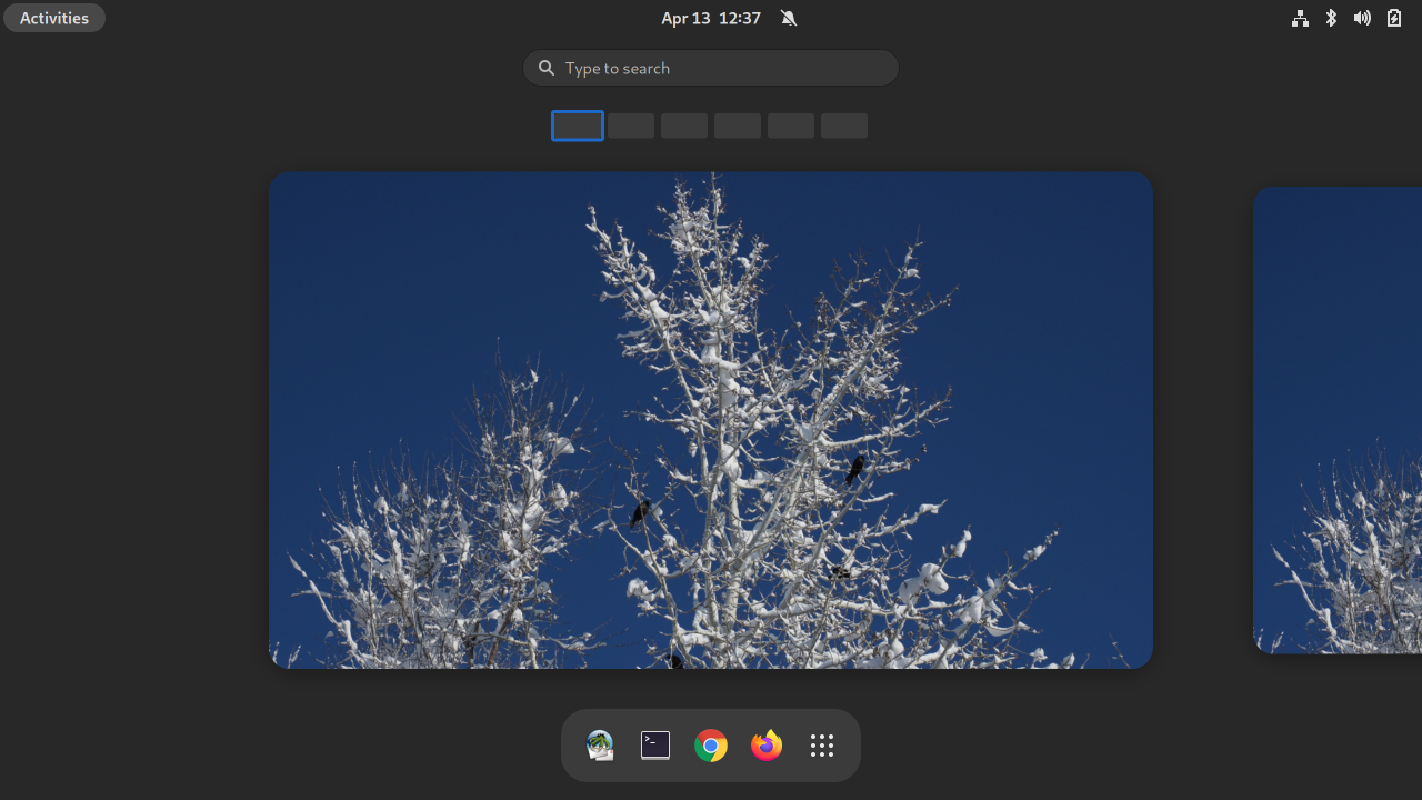 [GNOME activity view]
