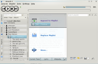 [Amarok 2.1.1 PUD]
