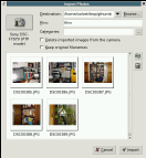 [The gthumb import dialog]